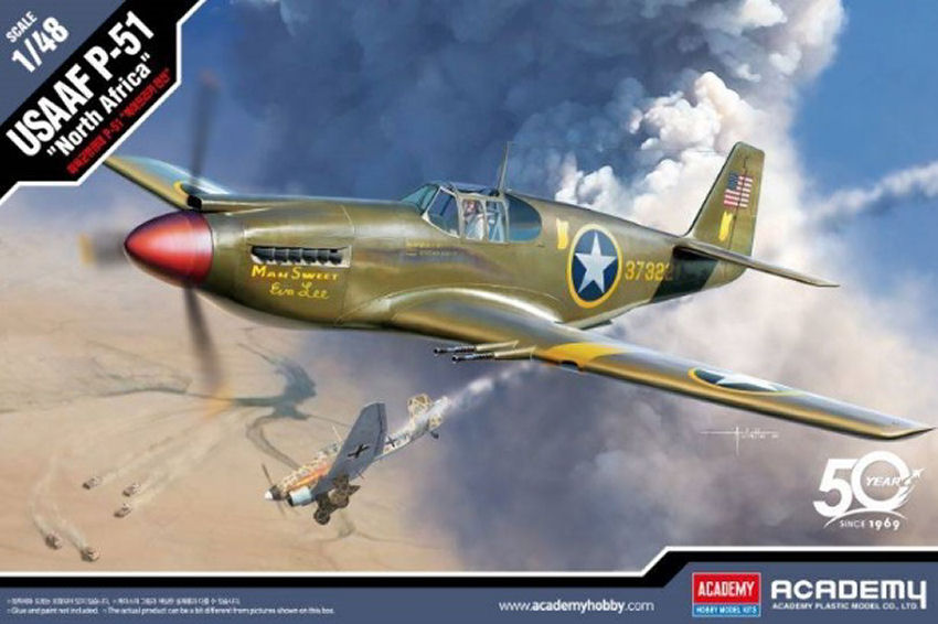 Usaaf P-51 North Africa Kit 1:48 DS Modellismo Usaaf P-51 North Africa Kit scala 1:48
