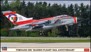 A-10C Thunderbolt II Demo-Team scala 1:72
