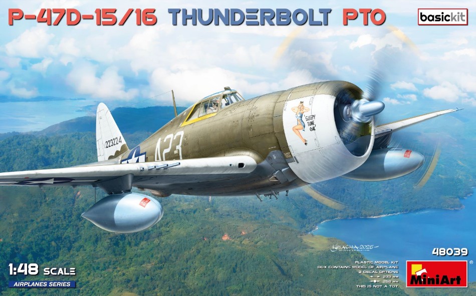 P-47D-15/16 Thunderbolt Pto Basic Kit 1:48 DS Modellismo P-47D-15/16 Thunderbolt Pto Basic scala 1:48
