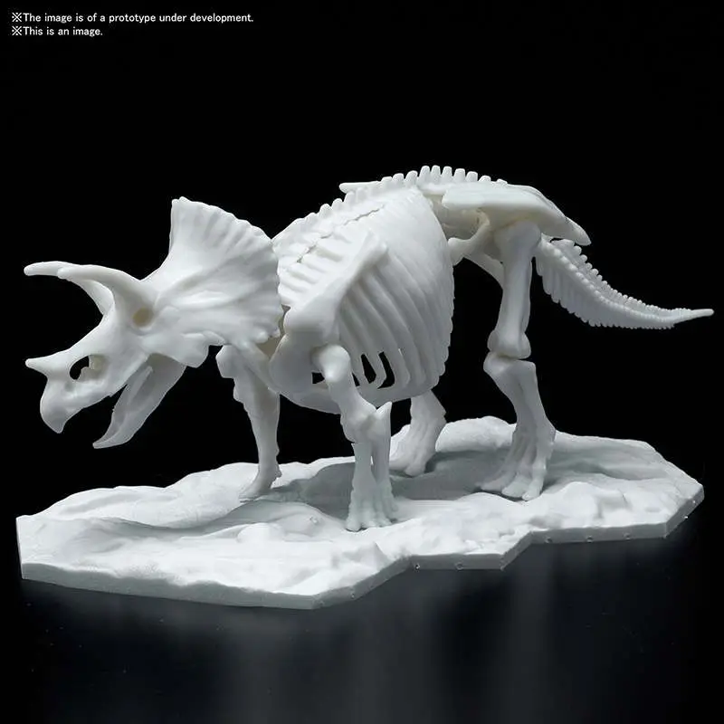 Dinosaur Limex Skeleton Triceratops MK DS Modellismo Dinosaur Limex Skeleton Triceratops Mk