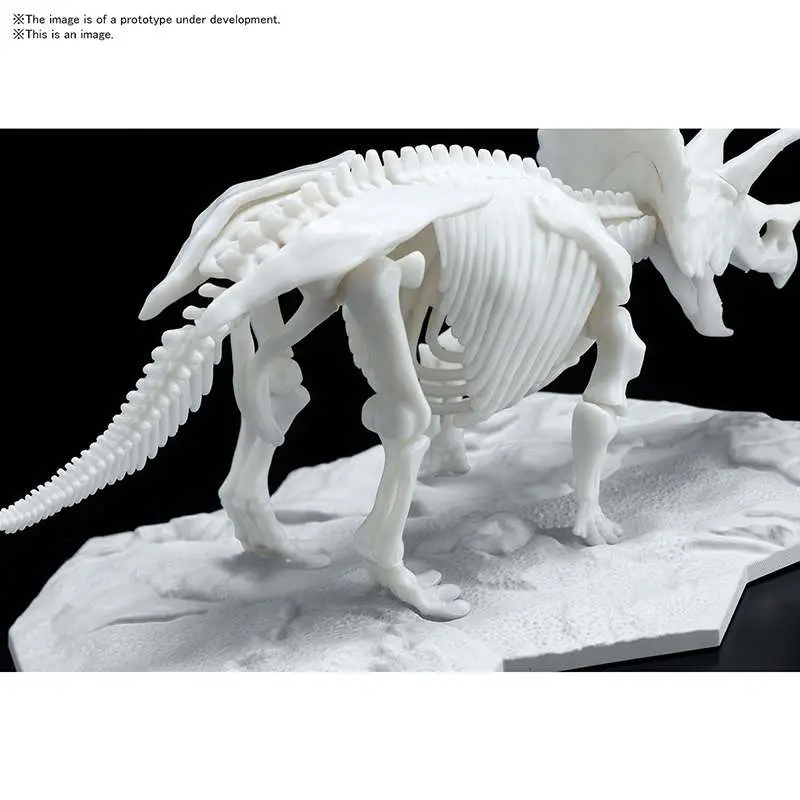 Dinosaur Limex Skeleton Triceratops MK DS Modellismo Dinosaur Limex Skeleton Triceratops Mk