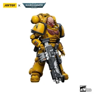 WH40K Imperial Fists Heavy INTERCESSORS2