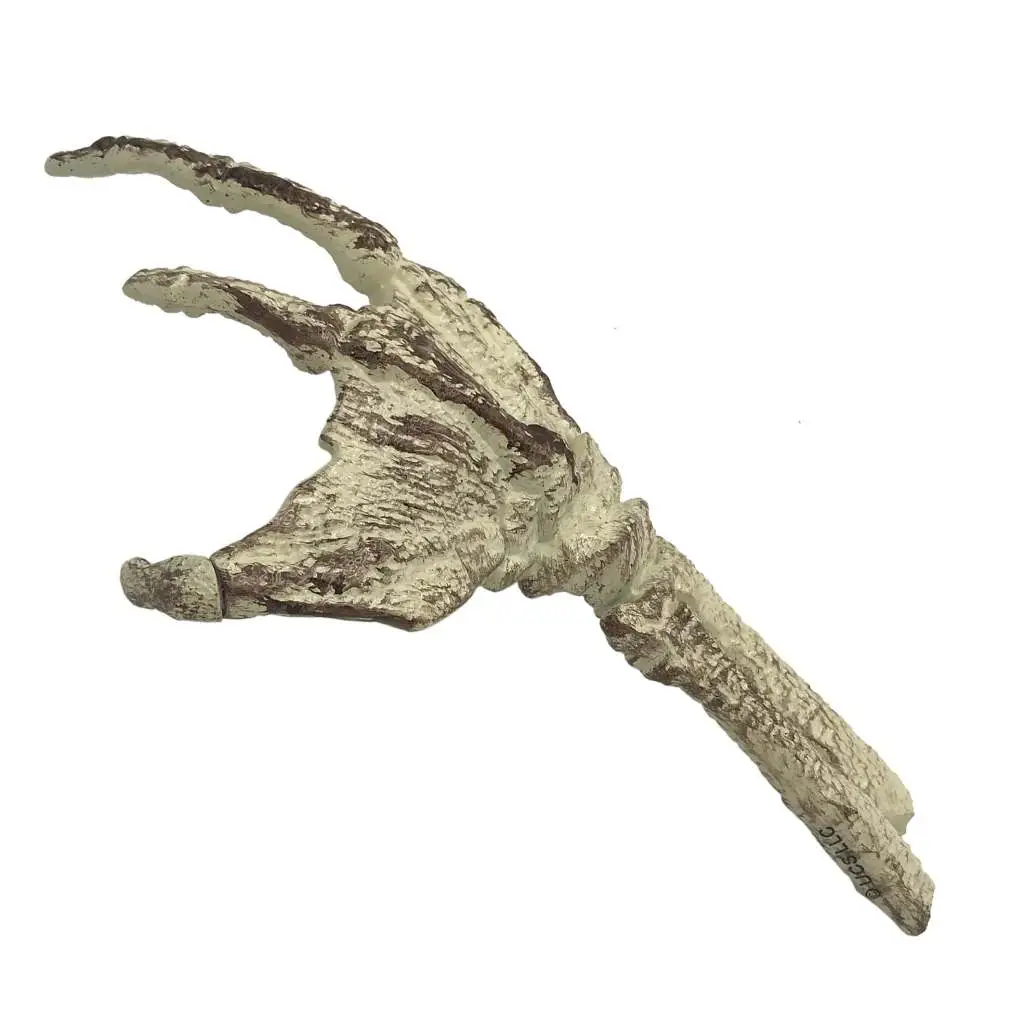 UM Fossil Creature Hand Scaled Prop Repl DS Modellismo Um Fossil Creature Hand Scaled Prop Repl