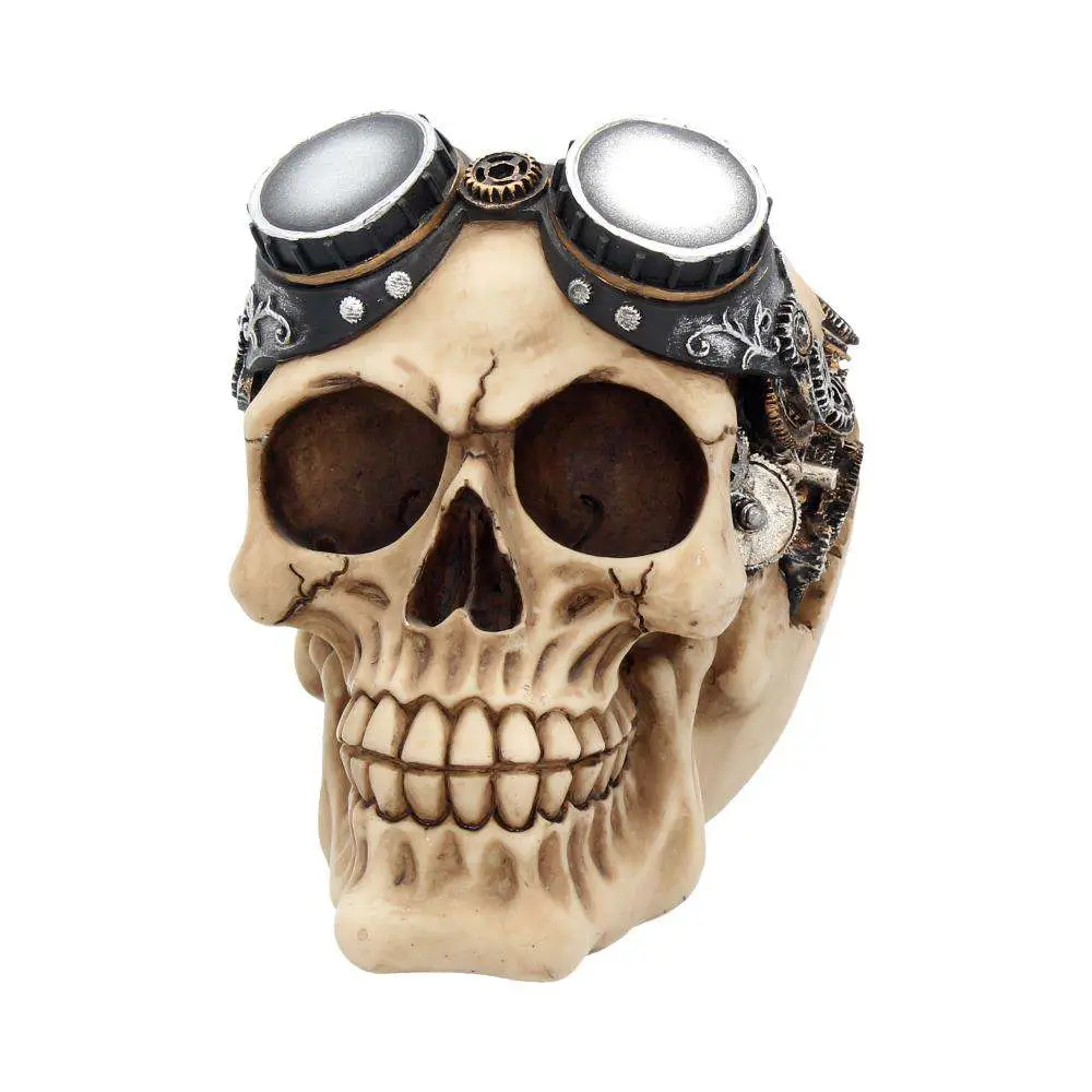 Steampunk Goggles Skull DS Modellismo Steampunk Goggles Skull NEMESIS NOW