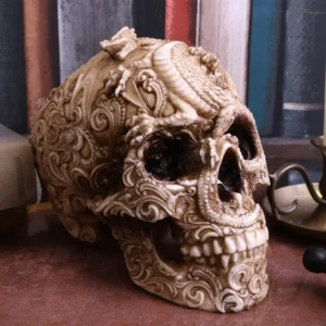 Decorazione Skull Cranial Drakos NEMESIS NOW