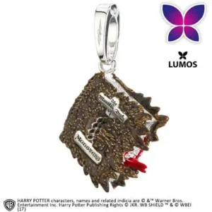 Ciondolo hp Lumos Book Monsters Charm