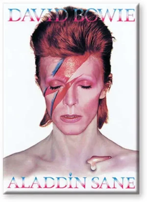 Calamita Bowie Aladdin Sane Flat Magnet
