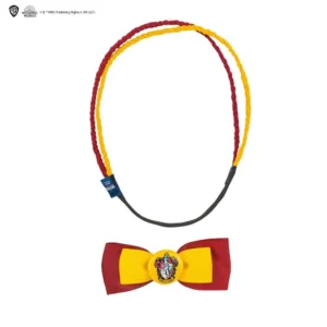 Accessori Abbigliamento hp Grifondoro Double