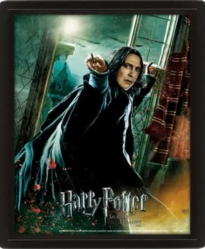 Poster hp Doni della Morte Snape 3d