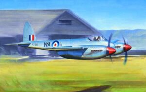 Aereo de Havilland HORNETF.1 Kit scala 1:48