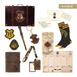 Confezione regalo Harry Potter Suitcase