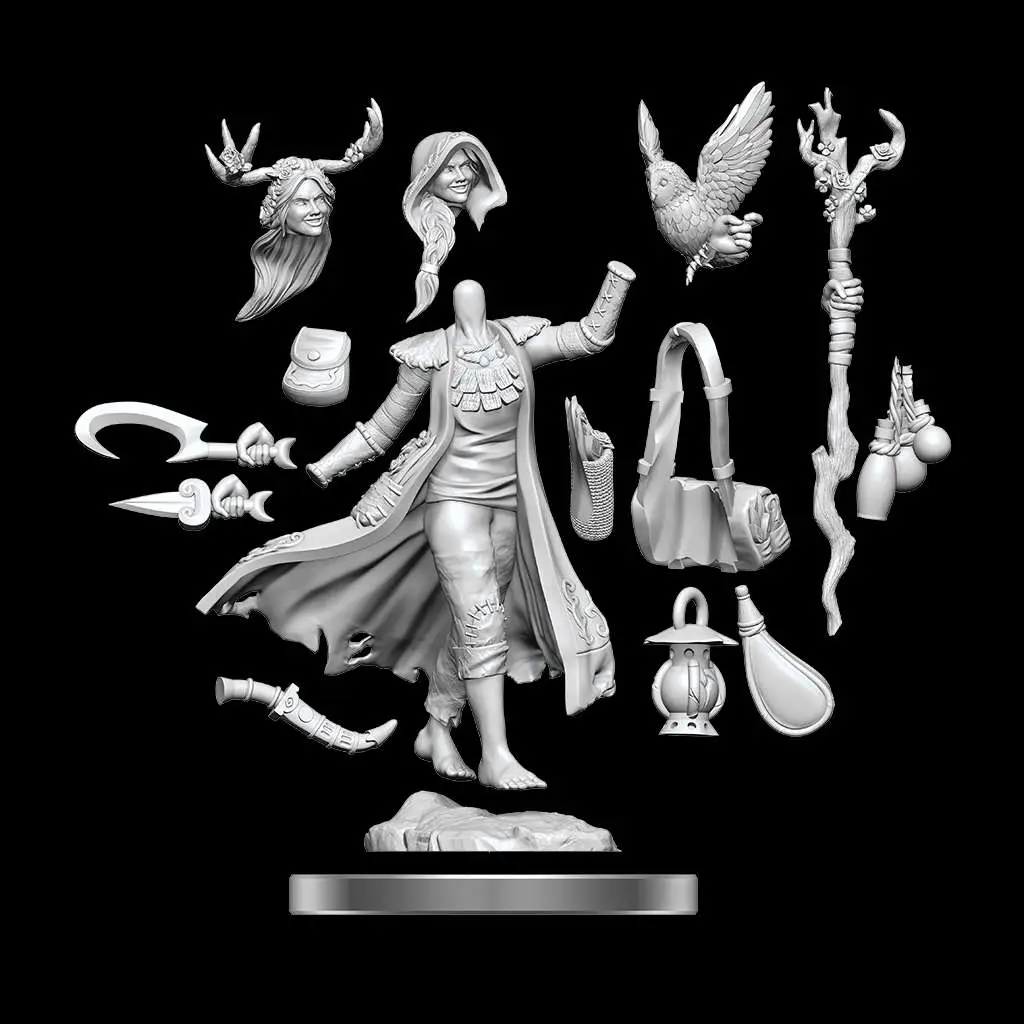 D&D Frameworks-Human Druid Female DS Modellismo D&D Frameworks-Human Druid Female WIZKIDS