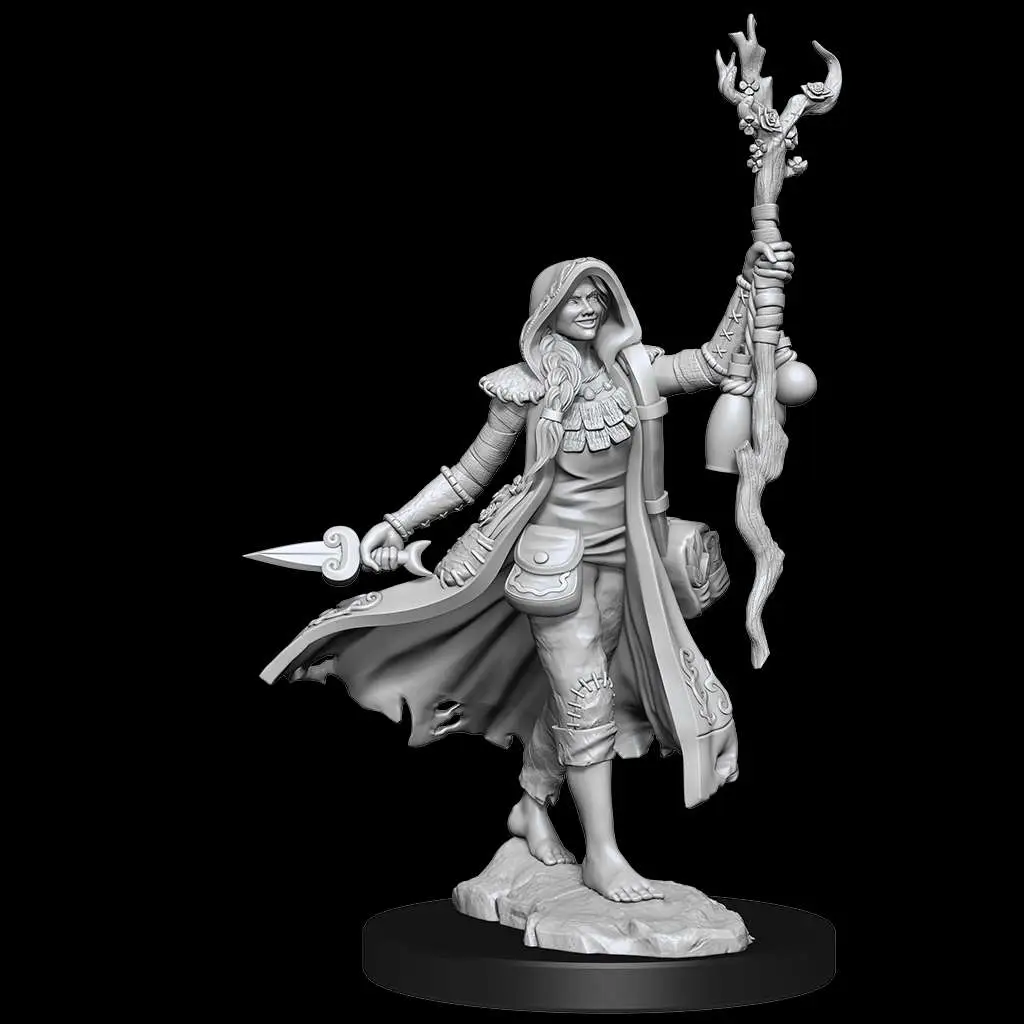 D&D Frameworks-Human Druid Female DS Modellismo D&D Frameworks-Human Druid Female WIZKIDS