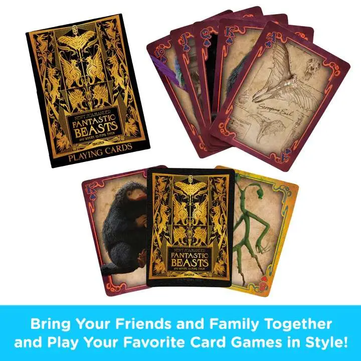 FB Playing Cards DS Modellismo Fb Playing Cards AQUARIUS ENT