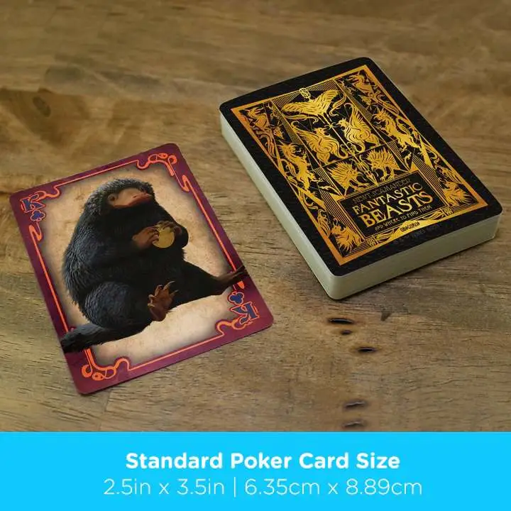 FB Playing Cards DS Modellismo Fb Playing Cards AQUARIUS ENT