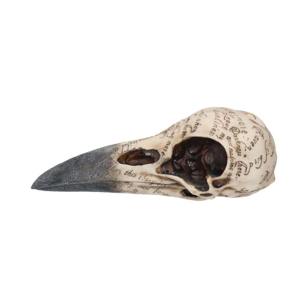 Edgar A Poe Raven Skull DS Modellismo Edgar A Poe Raven Skull NEMESIS NOW