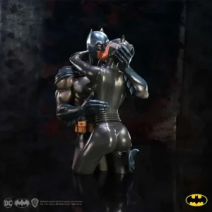 Batman & Catwoman Dc da collezione Bust