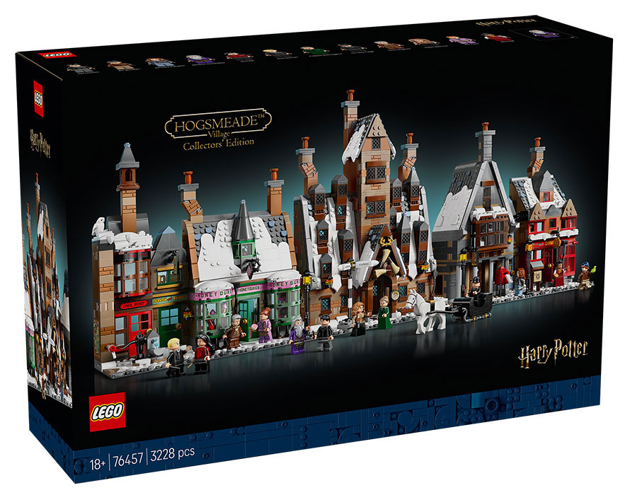 76457 Harry Potter Villaggio di Hogsmeade Collezionista Rare DS Modellismo 76457 Harry Potter Villaggio di Hogsmeade