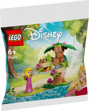 Polybag Disney Princess: Il parco giochi nel