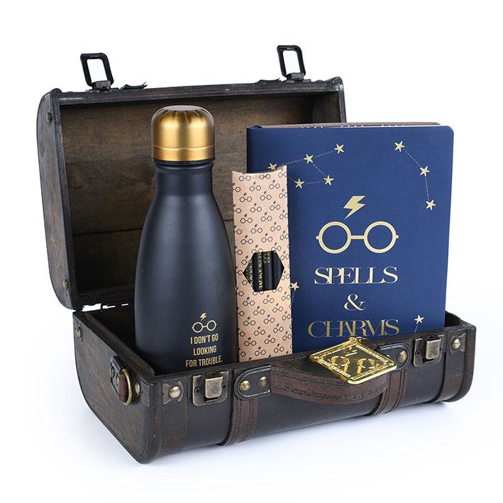 Confezione regalo Harry Potter Trouble Finds Me DS Modellismo Confezione regalo Harry Potter Trouble Finds