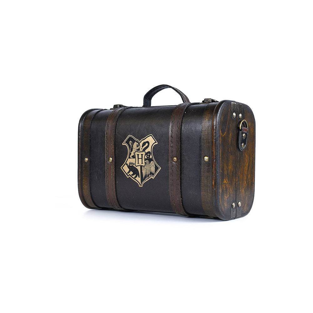 Confezione regalo Harry Potter Trouble Finds Me DS Modellismo Confezione regalo Harry Potter Trouble Finds