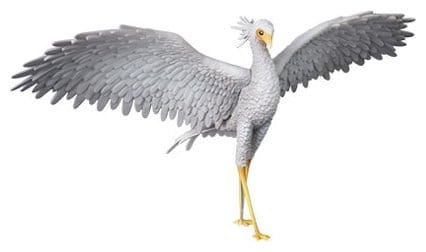 Flow Udf PVC Figure Secretarybird DS Modellismo Flow Udf Secretarybird Medicom