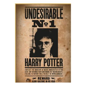 Harry Potter Puzzle Wanted No1 Harry Potter