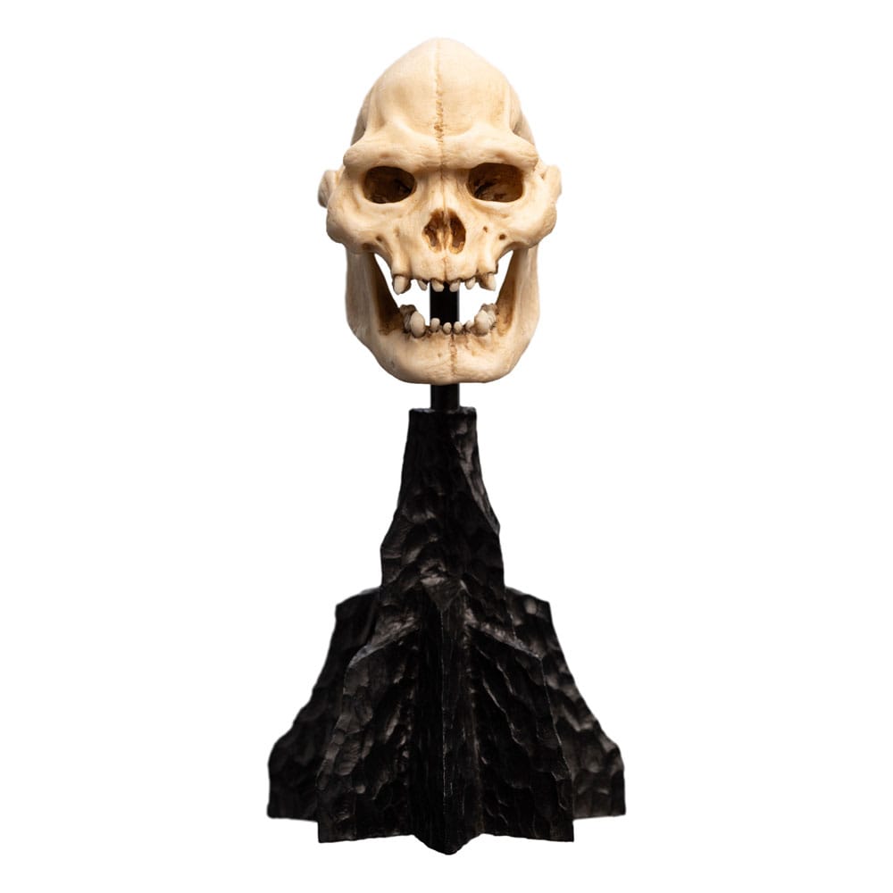 Statua Il Signore degli Anelli Mini Skull of Lurtz 14 cm DS Modellismo Statua Il Signore degli Anelli Mini Skull
