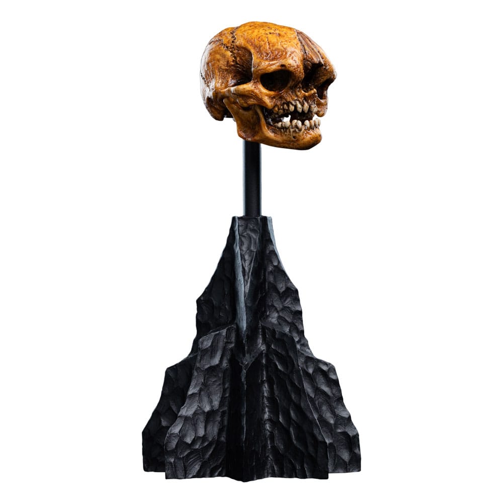 Statua Il Signore degli Anelli Mini Skull of a Misty Mountain Goblin 14 cm DS Modellismo Statua Il Signore degli Anelli Mini Skull