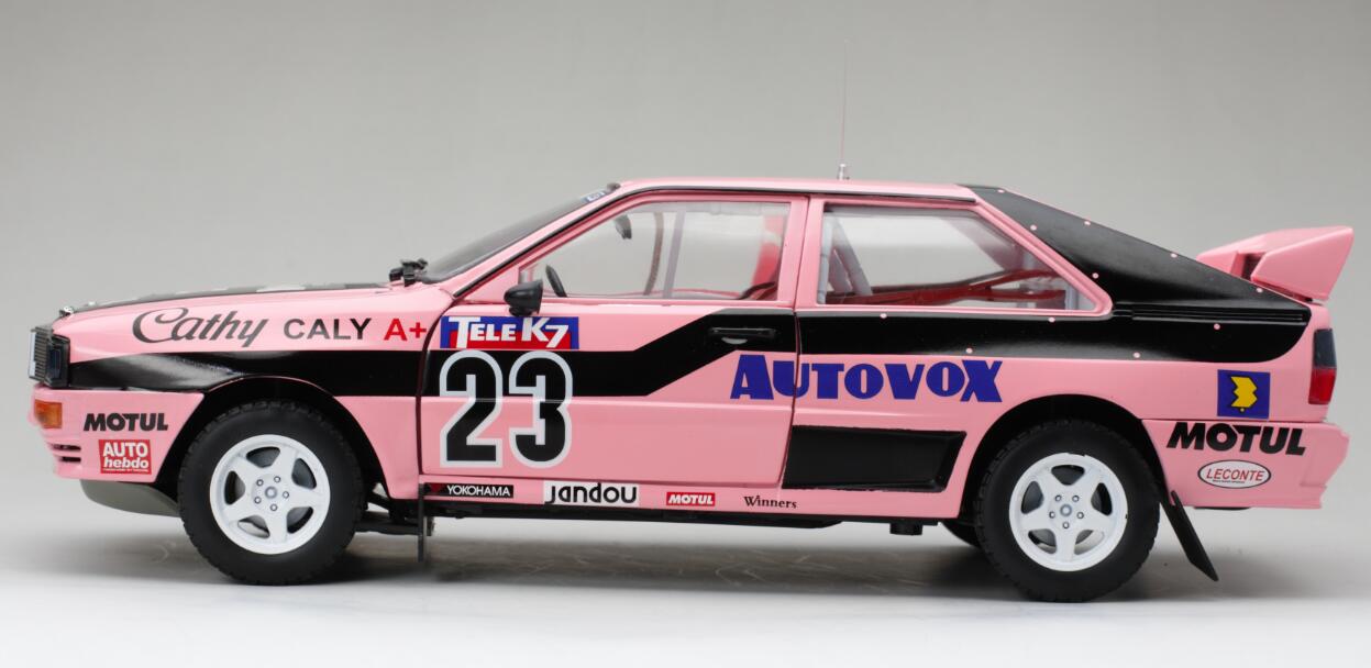 Audi Quattro A1 - #23 Cathy Caly -- 1987 French Rallycrosss Championship DS Modellismo Audi Quattro A1 #23 Cathy Caly -- scala 1:18