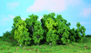 14 alberi decidui 5-12 Heki