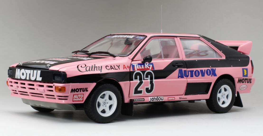 Audi Quattro A1 - #23 Cathy Caly -- 1987 French Rallycrosss Championship DS Modellismo Audi Quattro A1 #23 Cathy Caly -- scala 1:18