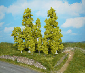 4 alberi di betulla Heki