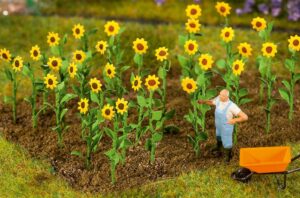 16 Girasoli scala H0 Faller