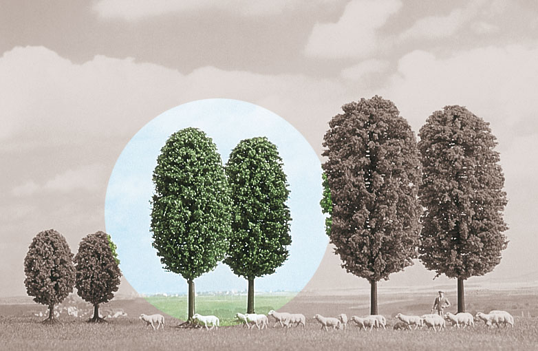 2 alberi decidui 50 mm DS Modellismo 2 alberi decidui Busch