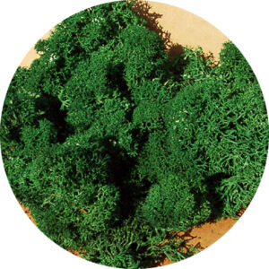 Muschio verde scuro 250 g Heki