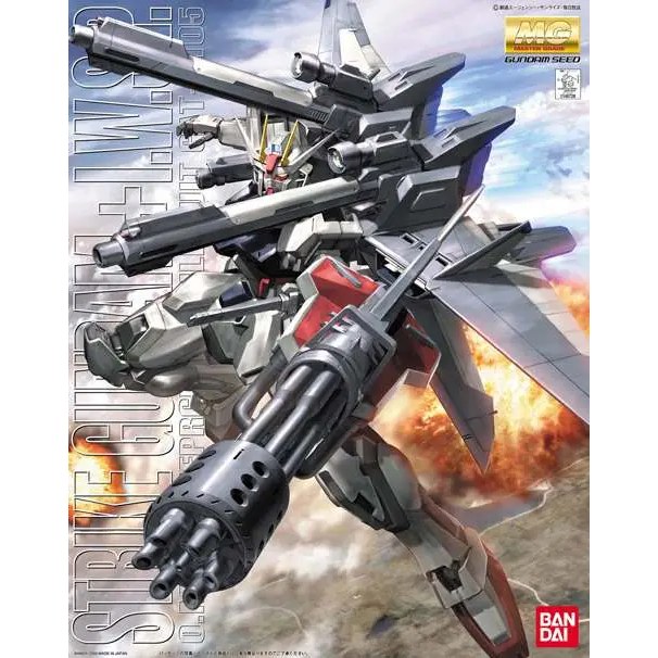 MG Gundam Strike + Iwsp 1/100 DS Modellismo MG Gundam Strike + Iwsp 1/100