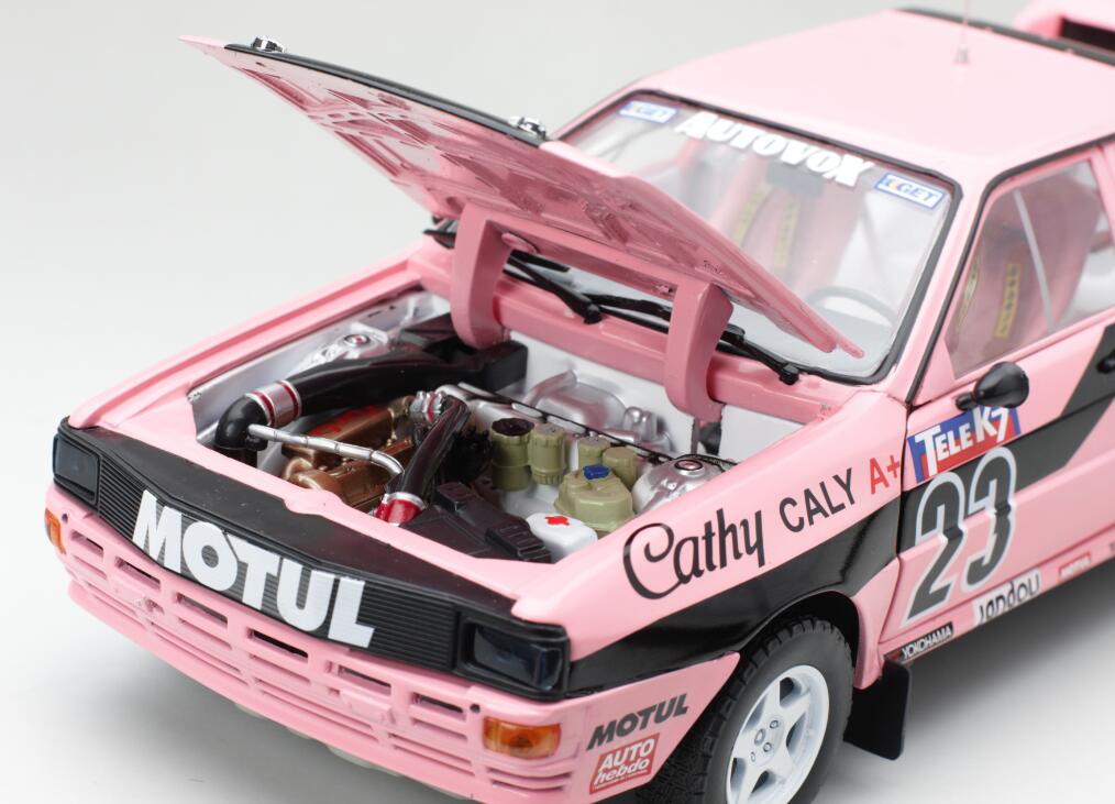Audi Quattro A1 - #23 Cathy Caly -- 1987 French Rallycrosss Championship DS Modellismo Audi Quattro A1 #23 Cathy Caly -- scala 1:18