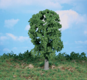 1 quercia 20 cm Heki
