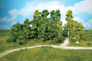 10 alberi decidui 8-12 Heki