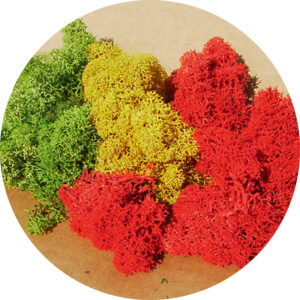 Muschio verde/giallo/rosso 75 g Heki