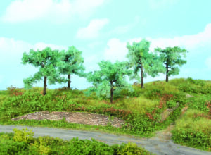 5 alberi di ulivo 8-10 Heki