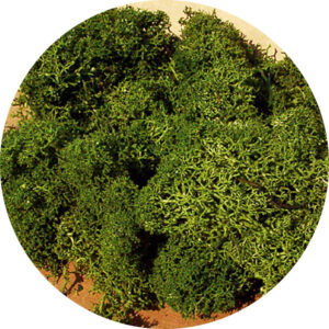 Muschio verde medio 75 g Heki