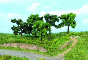 5 alberi da frutto 8-10 Heki