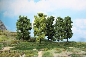 5 alberi decidui Heki