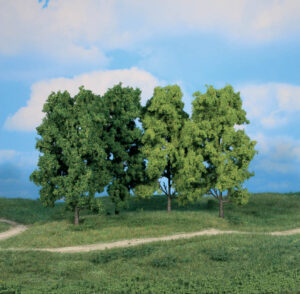 4 alberi decidui Heki