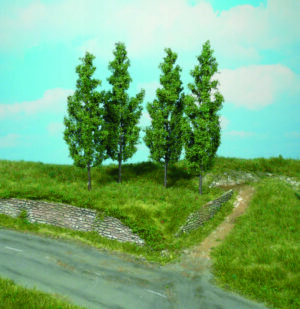 4 alberi di pioppo Heki