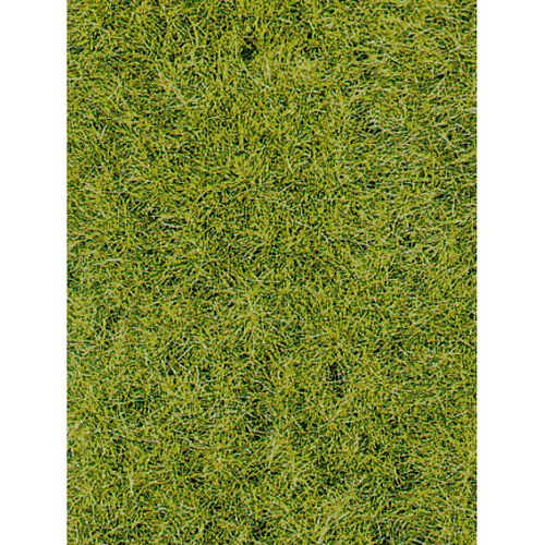 Erba selvatica, il suolo della foresta 28x14 cm DS Modellismo Erba selvatica, il suolo della foresta 28x14 cm