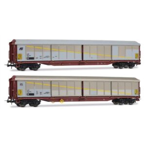Carri Chiusi FS Set 2 Pezzi Habils Livrea Argento/Marrone Epoca V 1:87 Scala H0