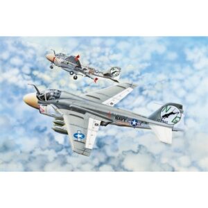A-6A Intruder